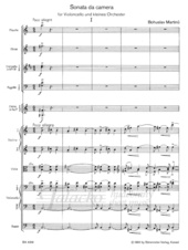 BA 4319_2.jpg
